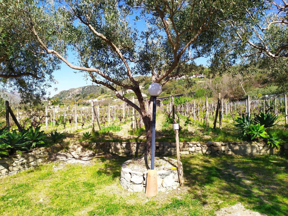 Il Vigneto "Cottage" Gaggi Kültér fotó