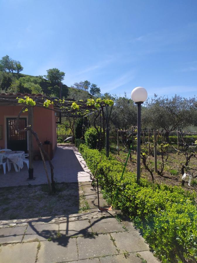 Il Vigneto "Cottage" Gaggi Kültér fotó