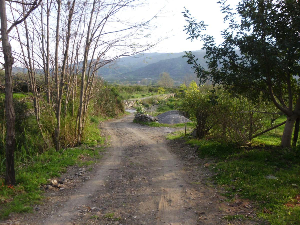 Il Vigneto "Cottage" Gaggi Kültér fotó